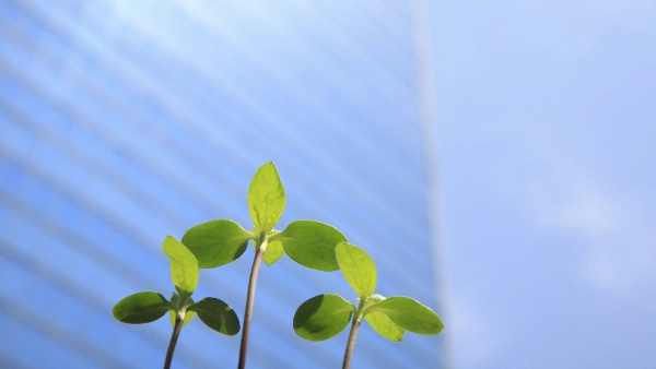 サステナビリティ