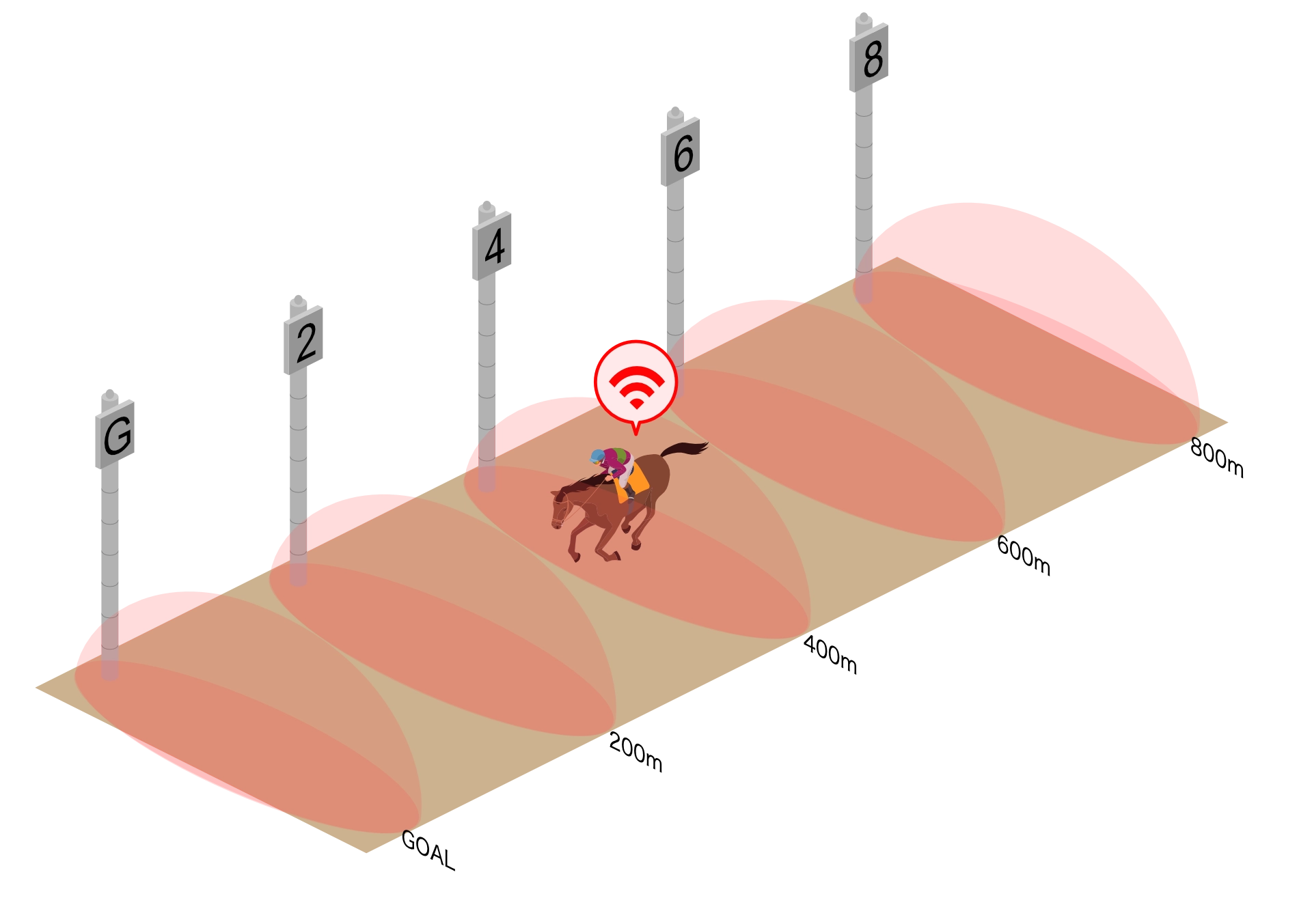 競走馬調教タイム計測 坂路コース計測