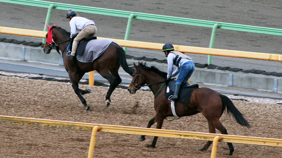 競馬調教タイム計測システムのイメージ